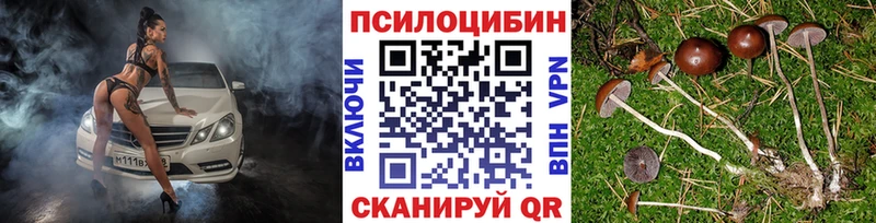Галлюциногенные грибы Cubensis  shop Telegram  Сибай 